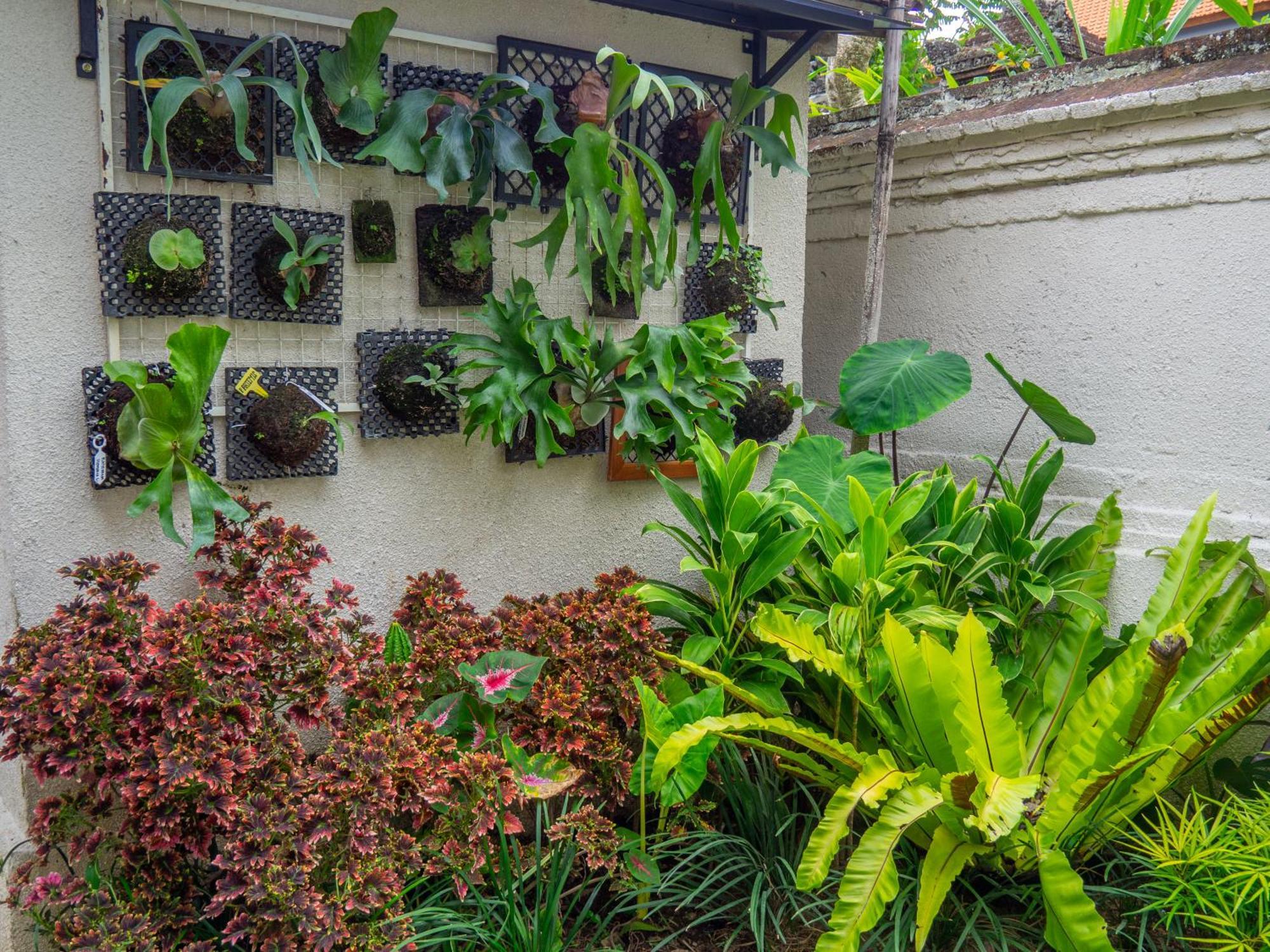 Arumasta Ubud 외부 사진